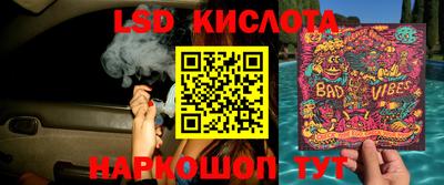 прущие грибы Канаш
