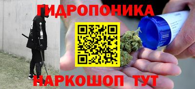 прущие грибы Канаш