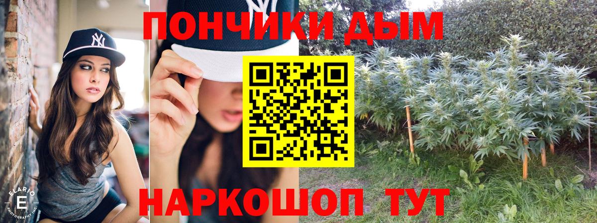 Бошки Шишки сатива Ишимбай